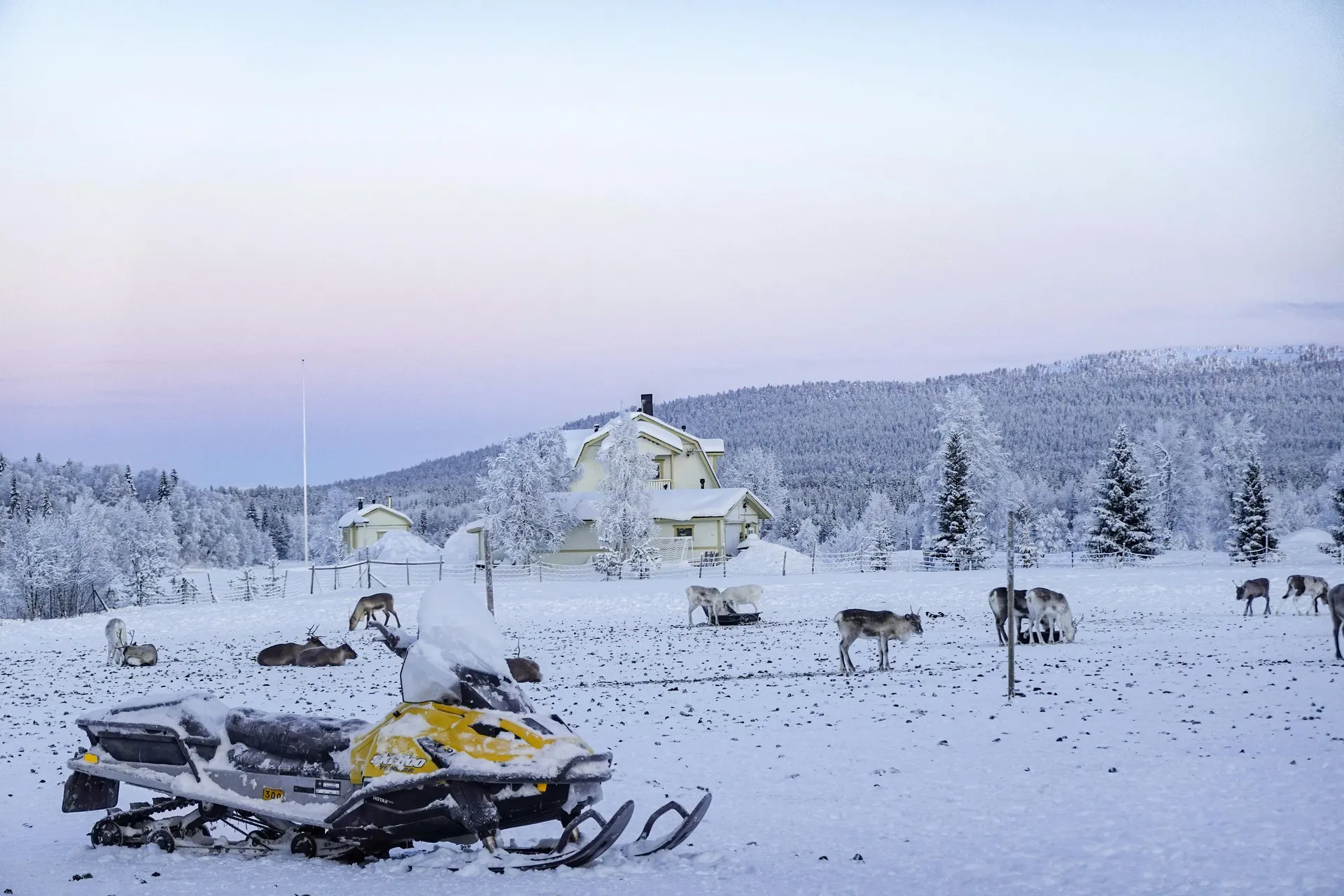 Sinisen hetken talvimaisema Suomen Lapissa